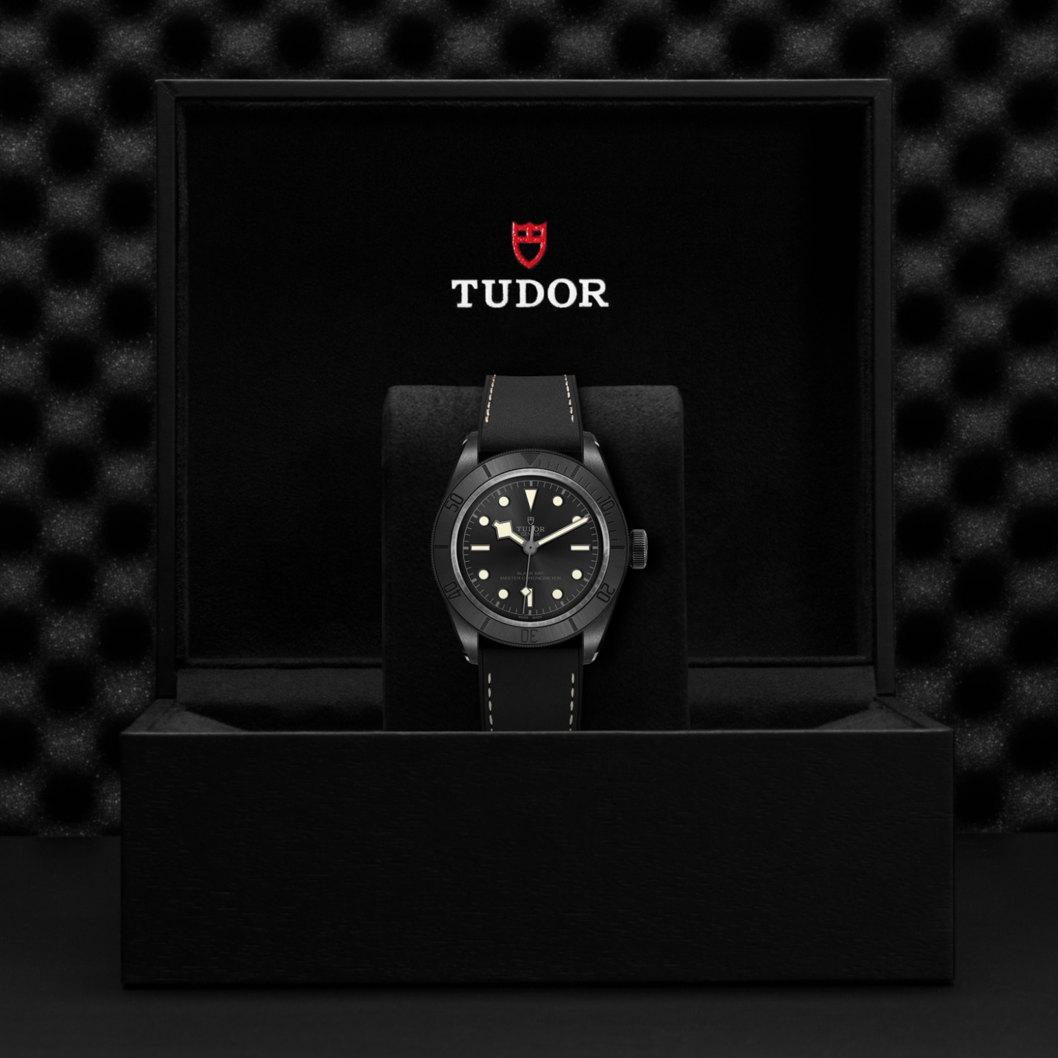 tudor-m79210cnu-0001-4 tudor-m79210cnu-0001-4