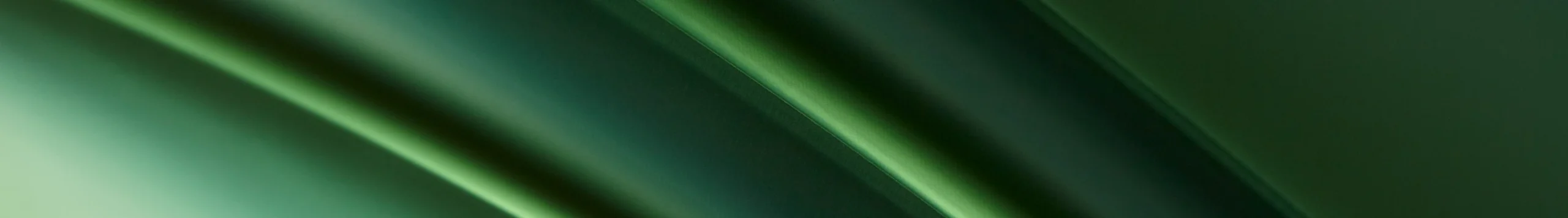 banner_landscape_05
