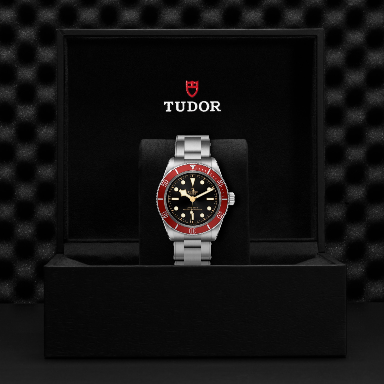 tudor-m7941a1a0ru-0001-4 tudor-m7941a1a0ru-0001-4